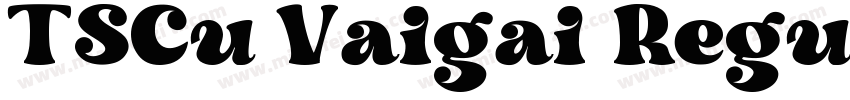 TSCu Vaigai Regular字体转换